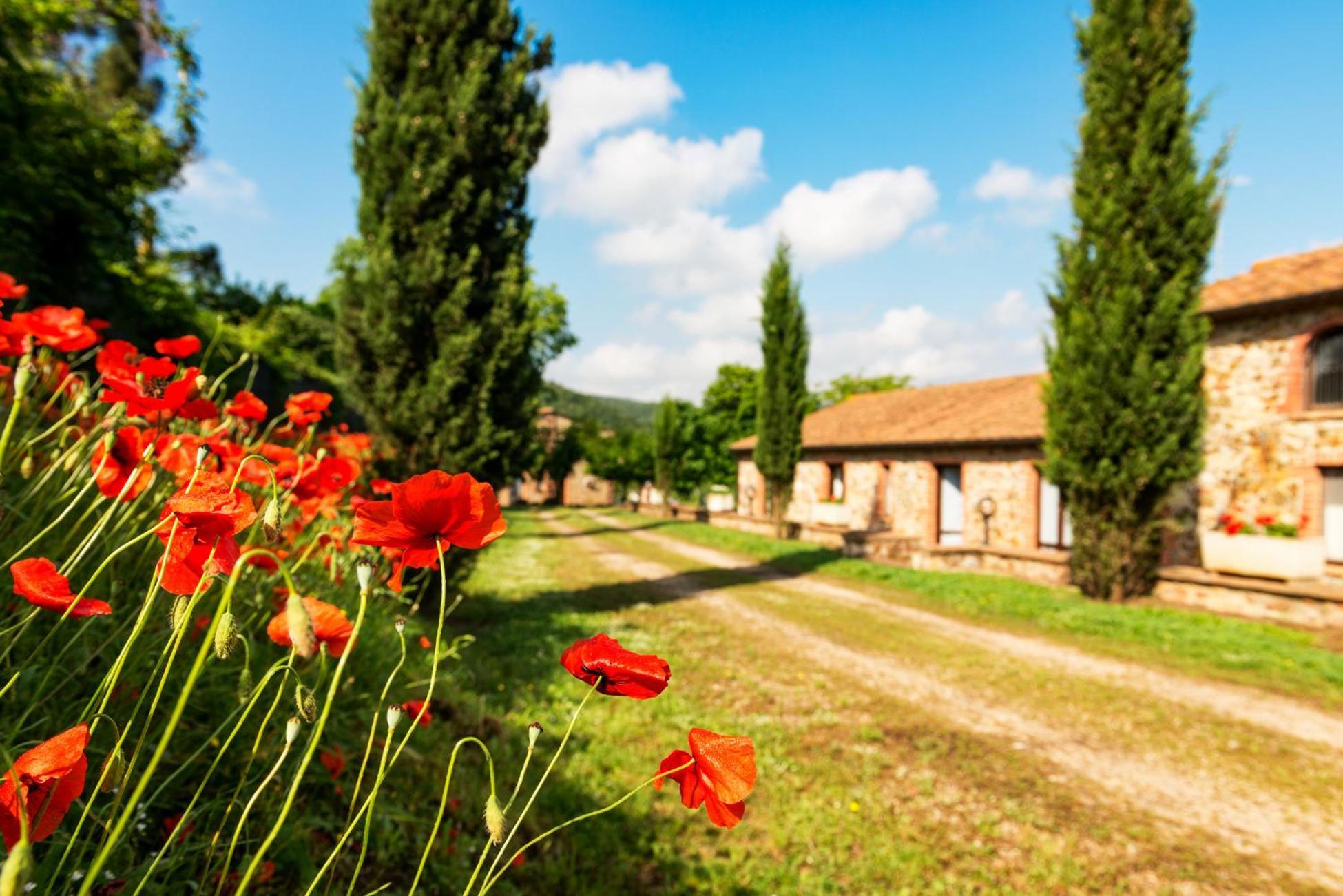 Podere Cascatelle&Agriletizia - Cascate Naturali Appartement Massa Marittima Buitenkant foto